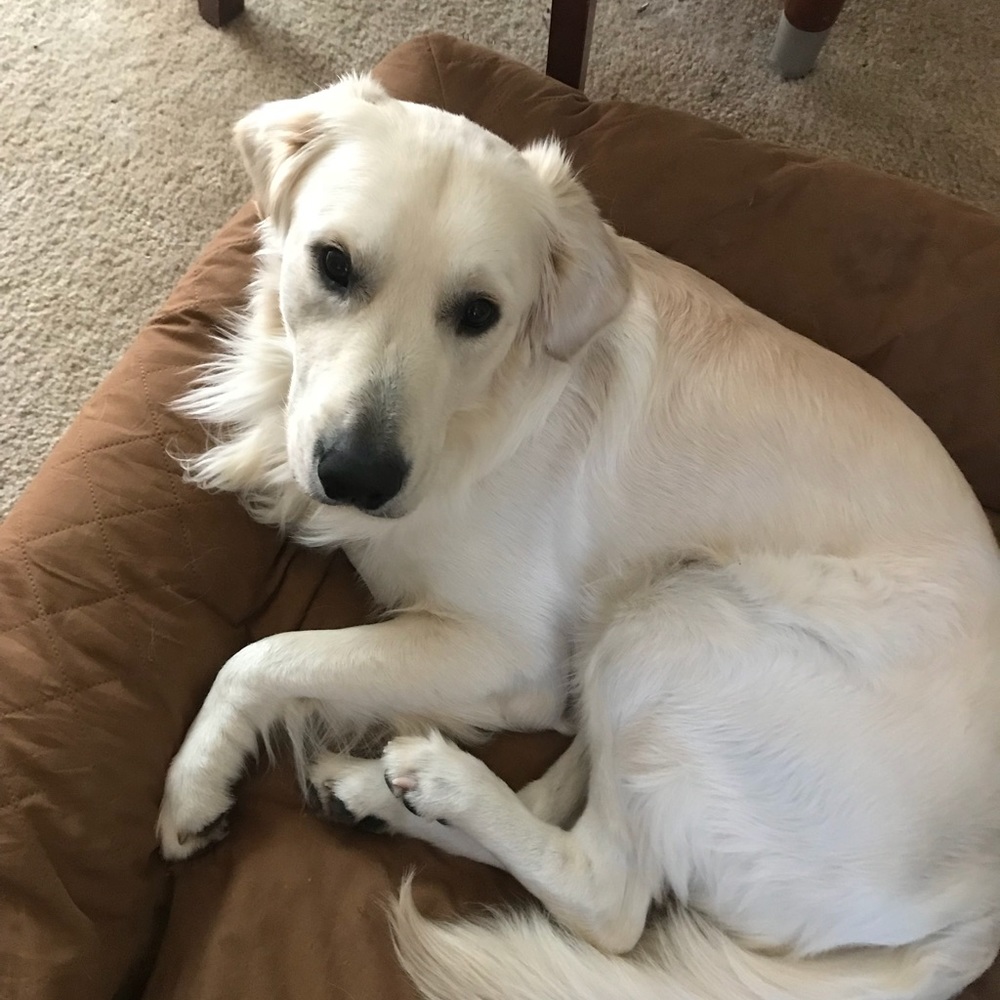 Meet your Posher, Vania